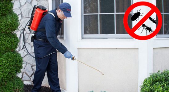 Kırklareli Gümüşkurt İlaçlama böcek ilaçlama ve haşere kontrolü — ilaclama-tr.com